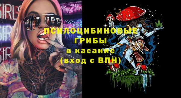 бошки Алексеевка