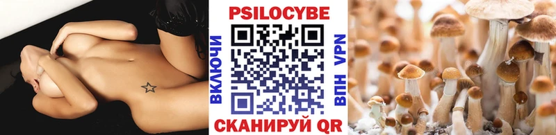 Галлюциногенные грибы Psilocybine cubensis  Домодедово 